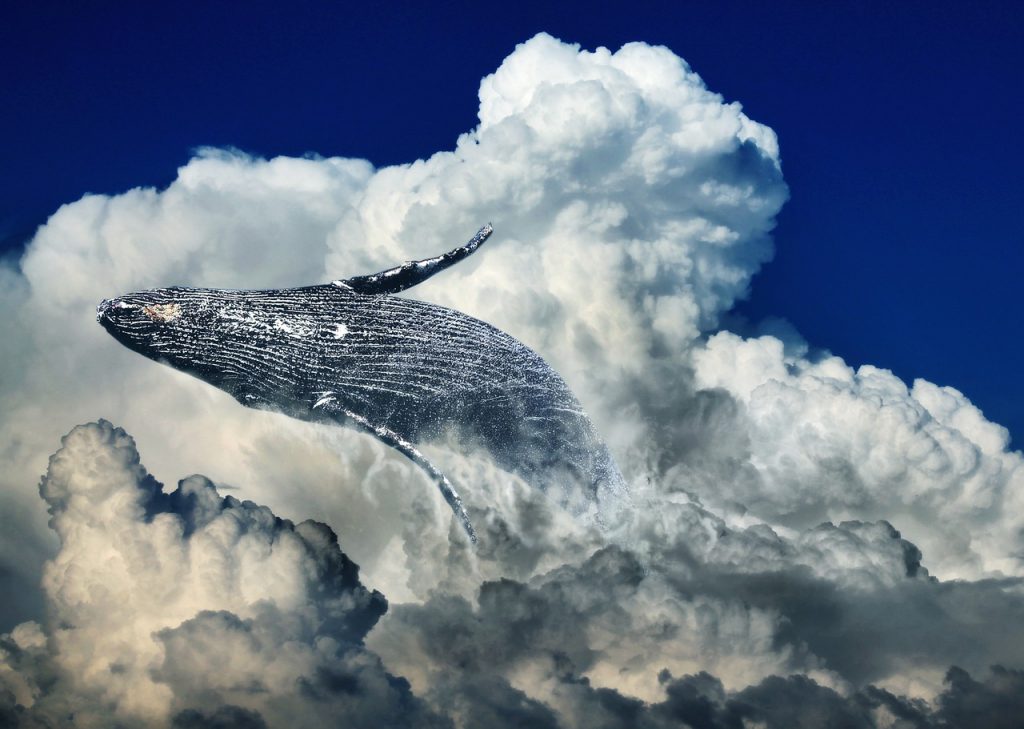 whale, clouds, leap-2722172.jpg