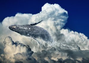 The Art and Science of SEO: Unveiling the Creative Side