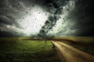Navigating the Google Algorithm Maze: To Thrive